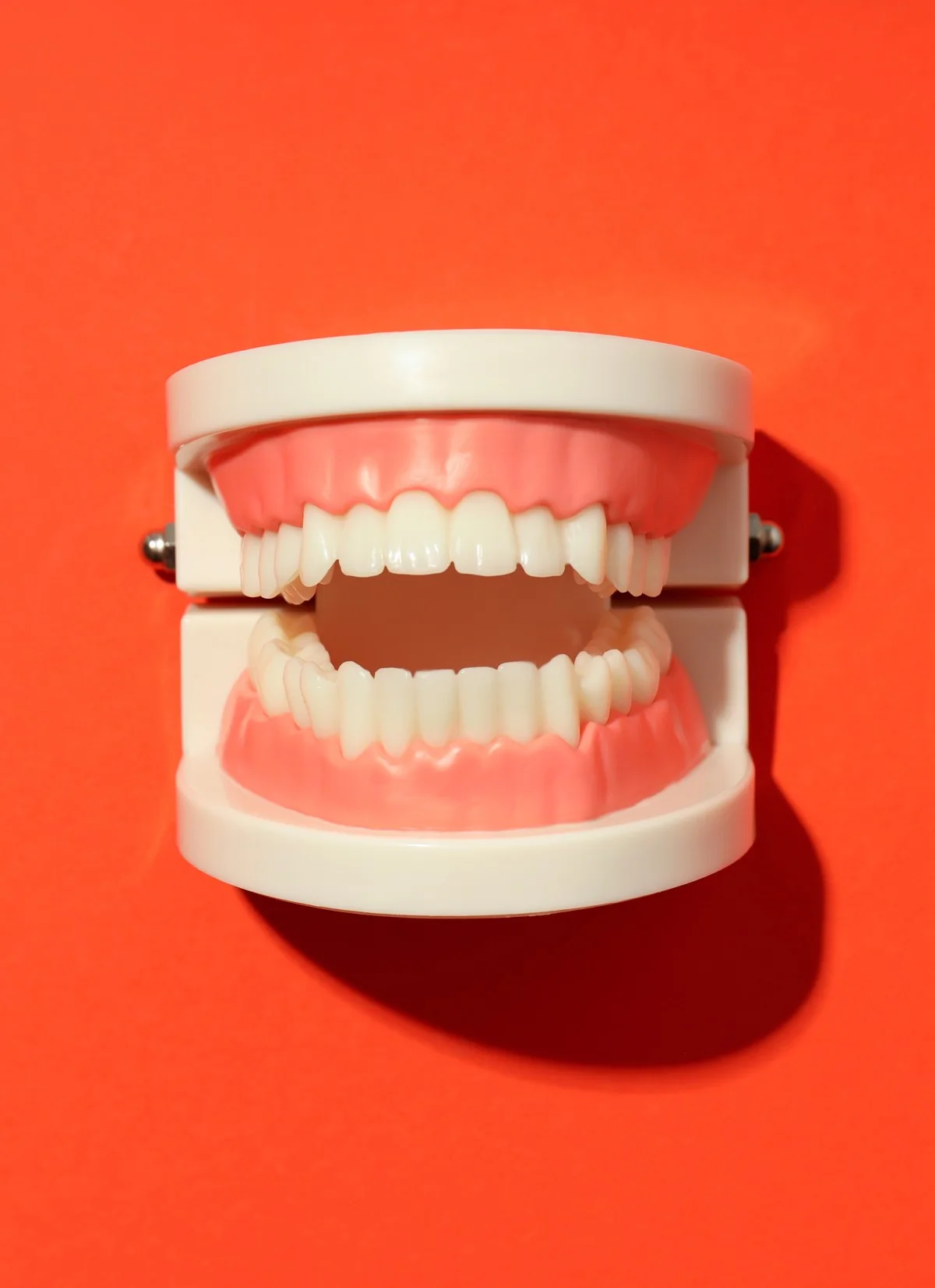 Rivadent Prosthetic Dental Treatment