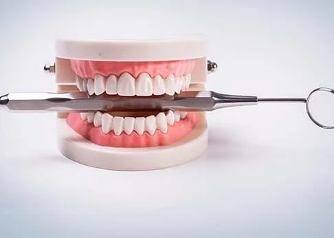 Prosthesis